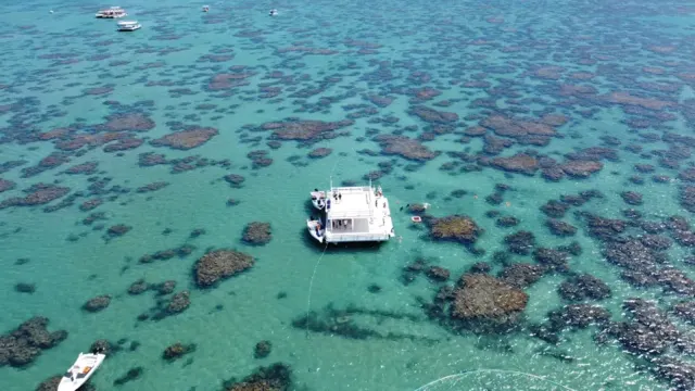 Mergulho Maracajaú Lancha